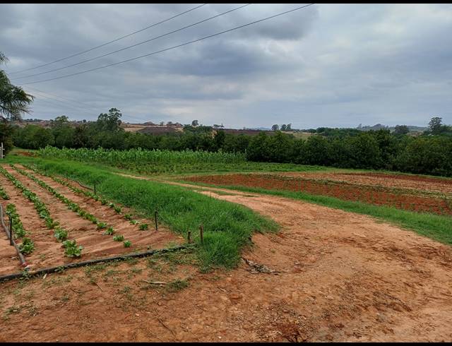 10HA FARM FOR SALE IN NELSPRUIT RURAL